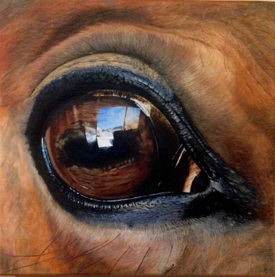 Voir la Galerie Autres Peintures Animalières