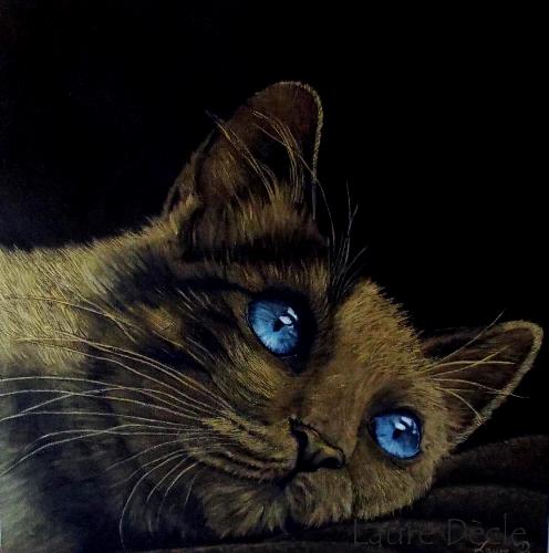 Voir la Galerie "De noir et d'or"