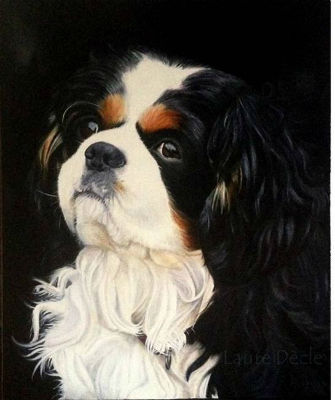 Voir la Galerie Portraits Chiens