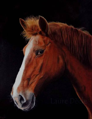 Voir la Galerie Portraits Chevaux
