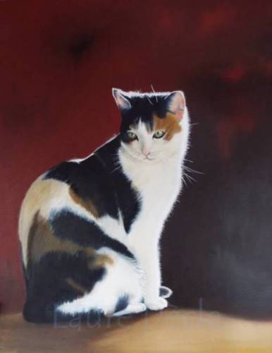 Voir la galerie Portraits Chats