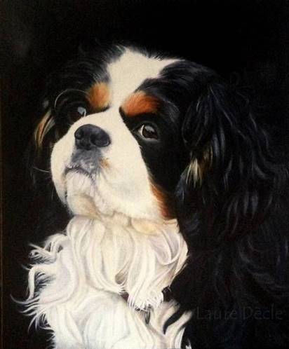 Voir la galerie Portraits Chiens