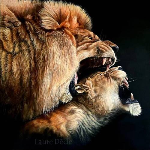 Voir la Galerie Portraits Autres Animaux